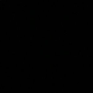 Meet your Posher, Lydia